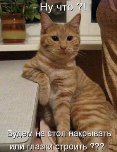 Sergej Fox | Житомир