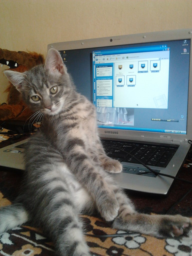 Евгения Заричная | 