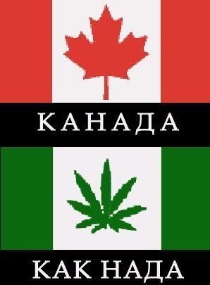 Сергей Котов | Буй