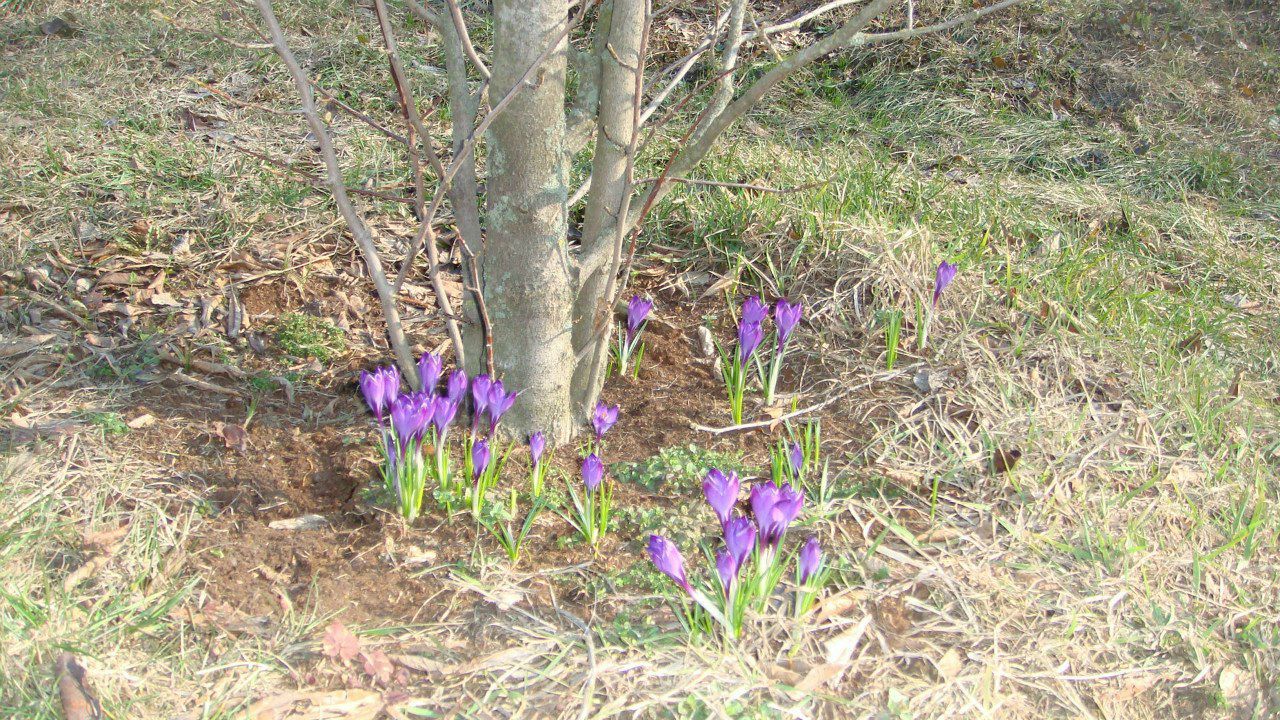Валюша Васильчук | Киев