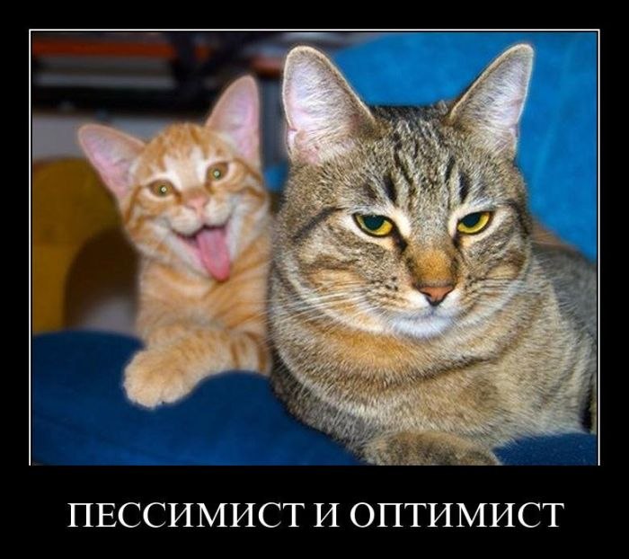 Алексей Павлов _футбол_это_искуство_ | Санкт-Петербург