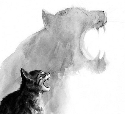 Станислава Турченко | Кропивницкий / Кировоград