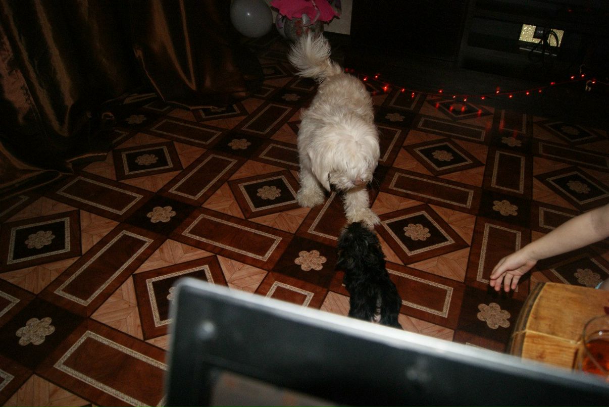 Евгения Рожкова | Самара