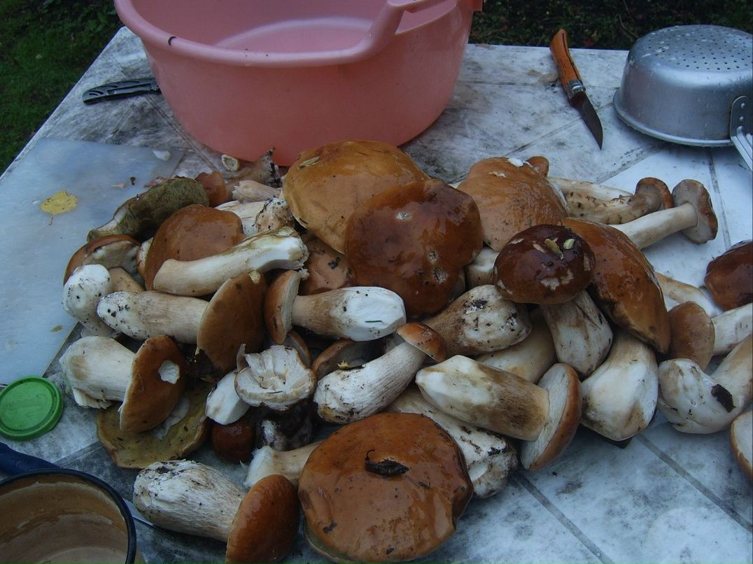 Жанна Шокун | Санкт-Петербург