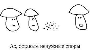 Диана Хлебаева | Санкт-Петербург