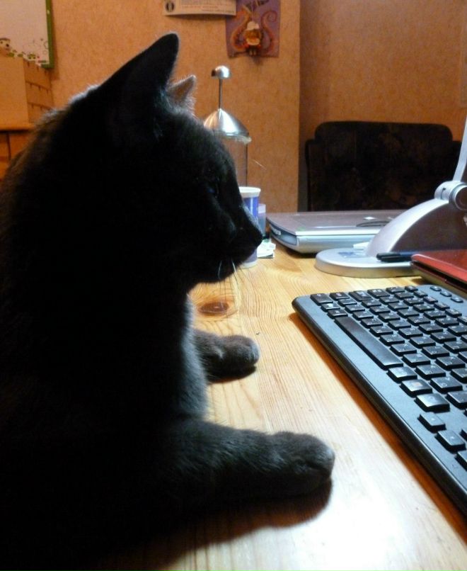 Юрий Cosmic | Москва