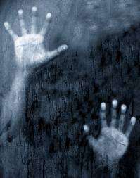 Миша Бибик | Полтава