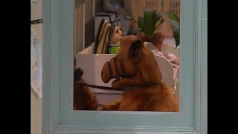 Альф l Alf 2 Сезон l 17 Серия HD