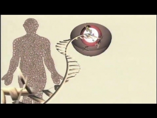 Genes, DNA, general information