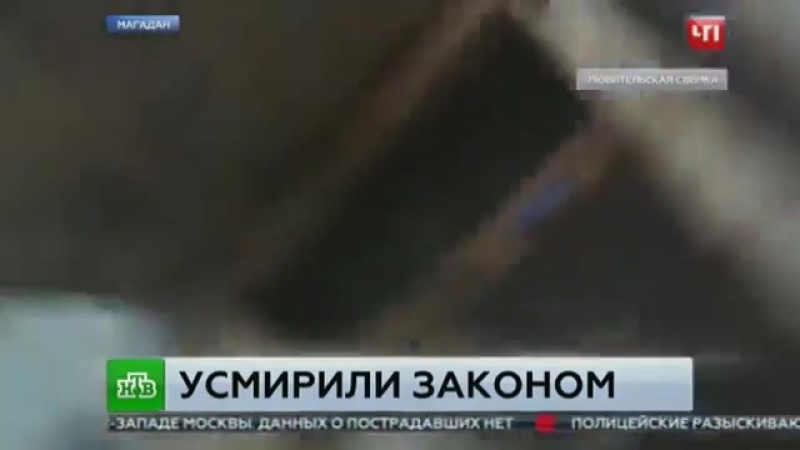 Спустила питбуля на полицейского, приговор собачнице