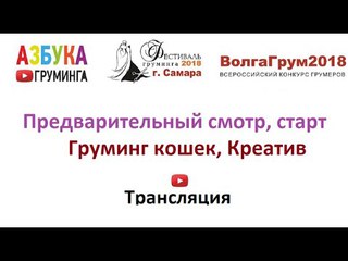 ВолгаГрум2018. Груминг кошек, креатив, работы