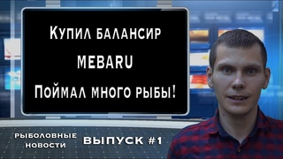 Рыболовные новости #1/ Купил балансир MEBARU - поймал много рыбы!