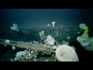 USS_Independence-_An_Operation_Crossroads_Target_(1941-1951)_-_Nautilus_Live