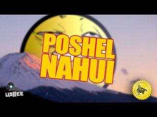 uamee - POSHEL NAHUI