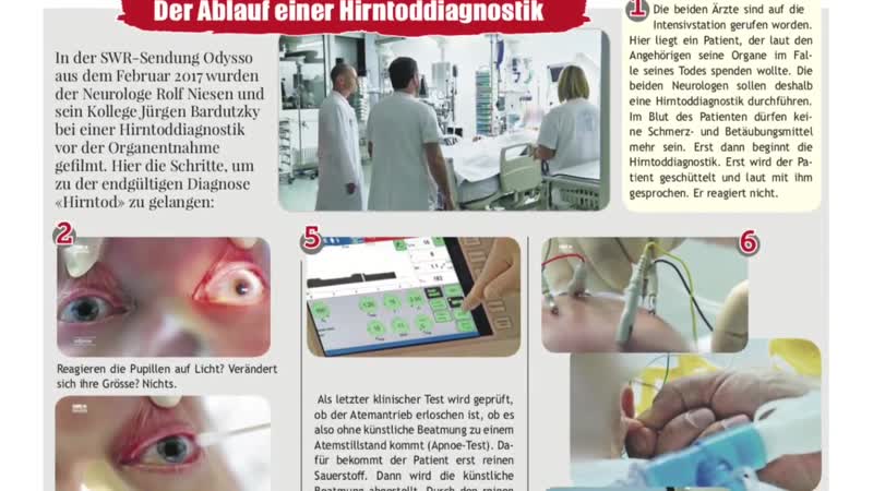 Im Land der lebenden Leichen Die Lu gen der