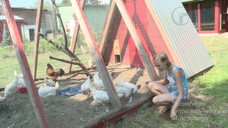 Репортаж из оздоровительного лагеря