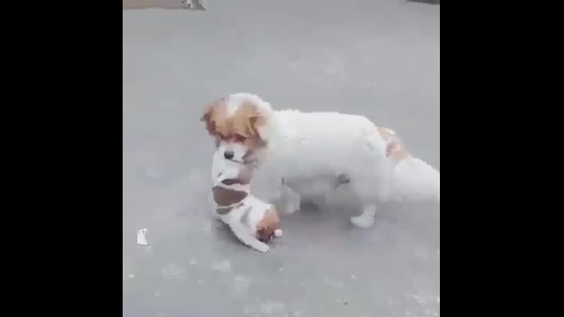 Мамка сказала