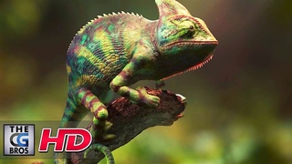 CGI & VFX Showreels: &quotColorchanging Chameleon" - by              | TheCGBros || TheCGBros