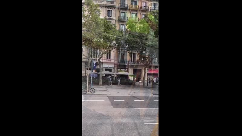 Видео от Лейлы