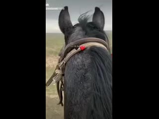 Видео от Суйындык Аманбай