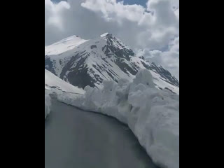 Himalayan