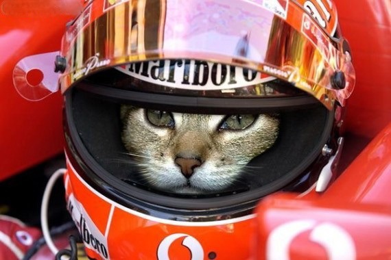 №15, Ранэль Гимадеев, Казань, Россия №15, Ранэль Гимадеев, Казань, Россия