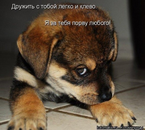 №57, Ранэль Гимадеев, Казань, Россия №57, Ранэль Гимадеев, Казань, Россия