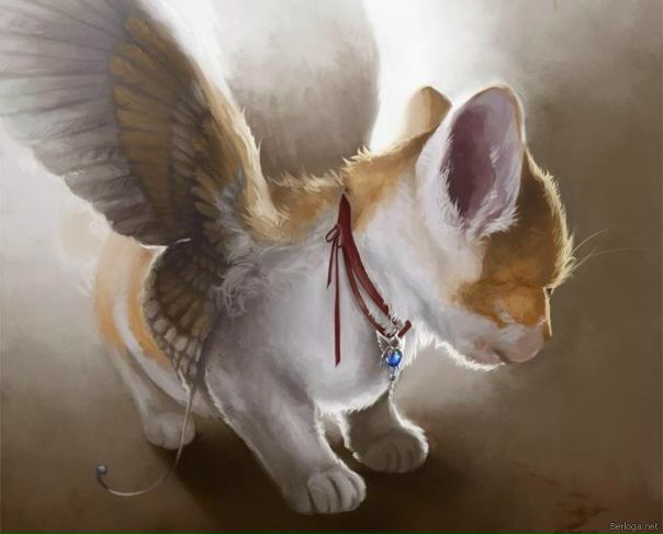 №19, Саша Котенко №19, Саша Котенко