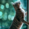 Аватар: Даменика Оврамова