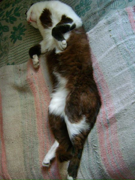 №43, Татьяна Кравченко №43, Татьяна Кравченко