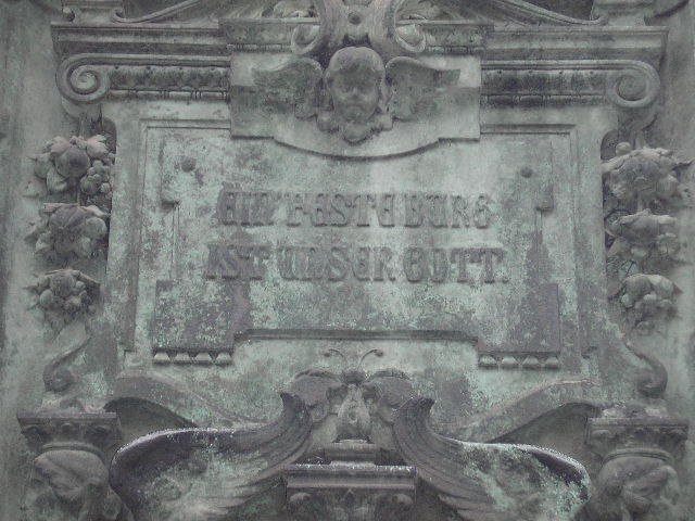 Екатерина Чернова | Новочеркасск