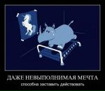 Фотография Славчик Посашков