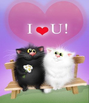 №8, Назар Степанчук №8, Назар Степанчук