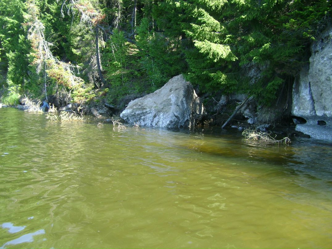 Павел Рожков | Пермь