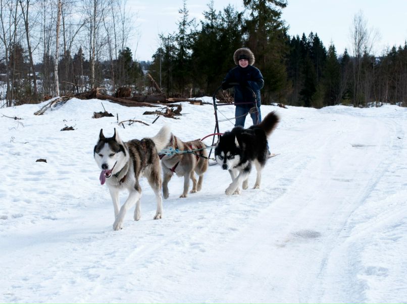 Виталик Глебов | Санкт-Петербург