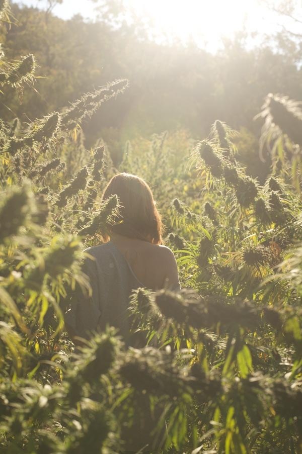 Юлия Новикова | Донецк