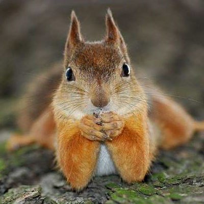 Юлия Жукова | 