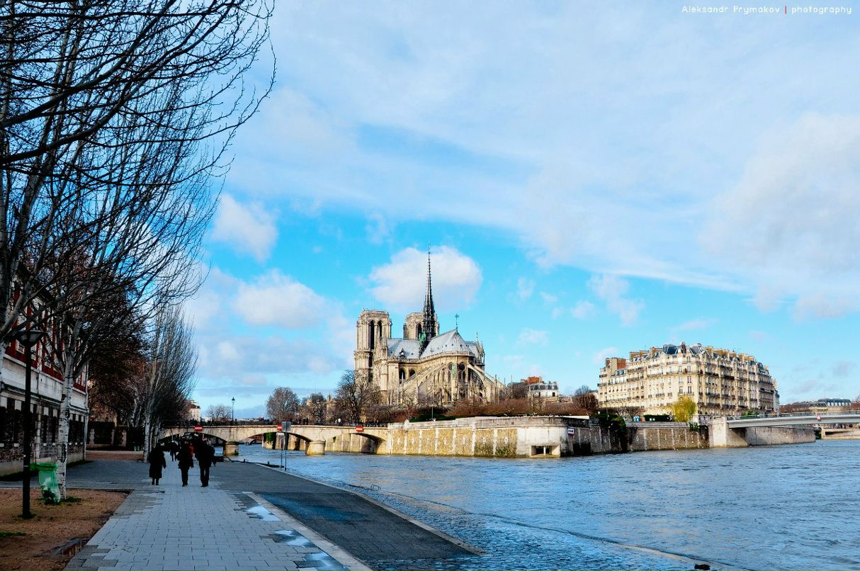 Александр Примаков | 