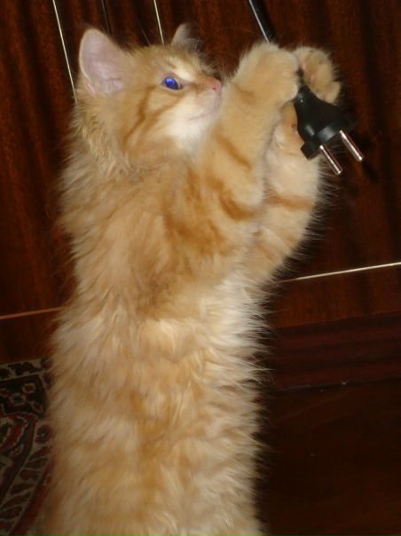 №10, Руслана Статюха, Киев №10, Руслана Статюха, Киев