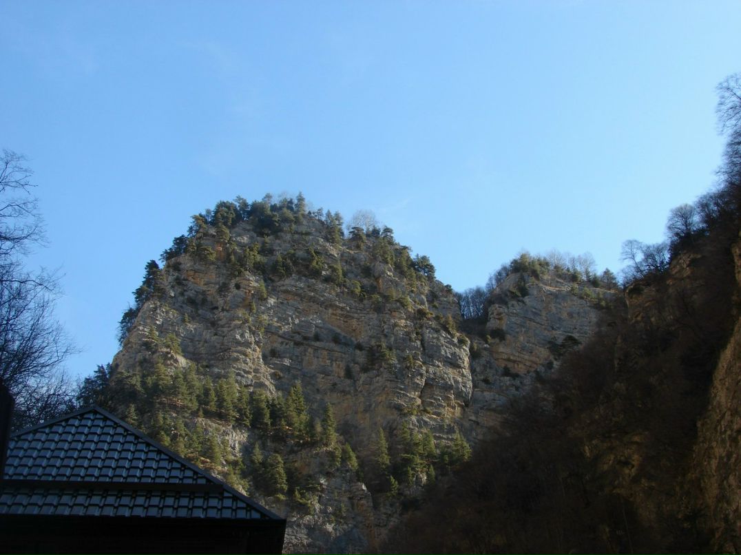 Ольга Фрей | Москва