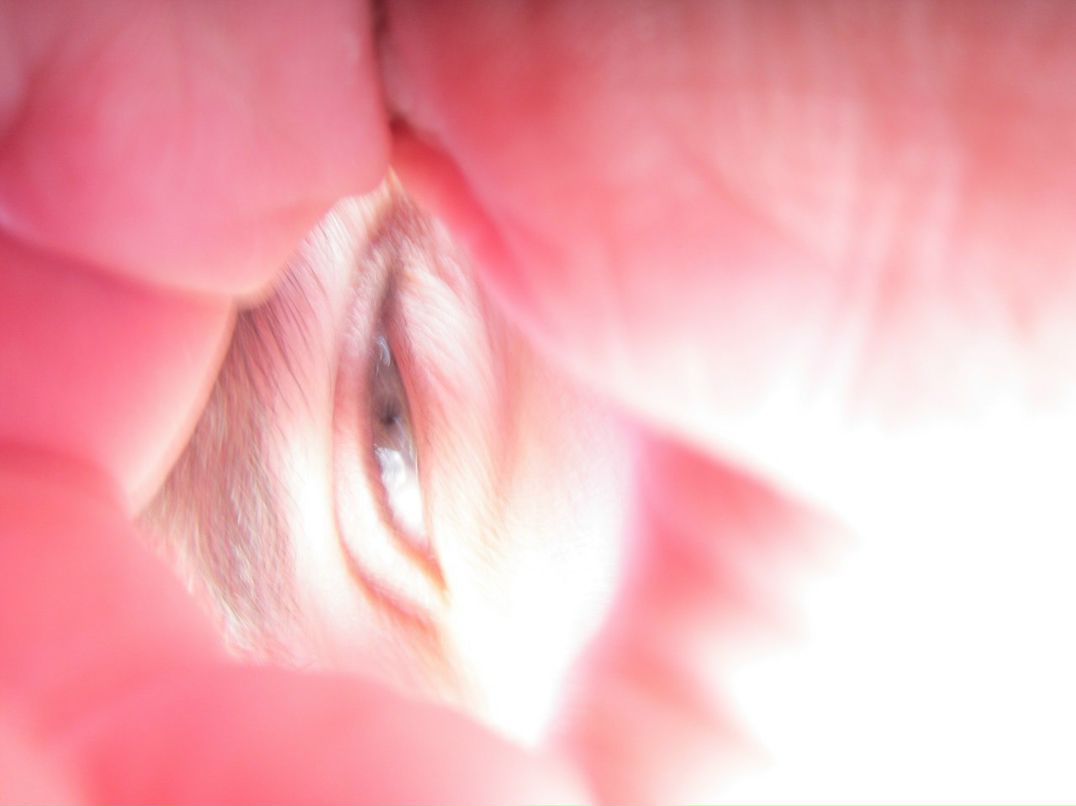 Евгений Грищенко | Брянск