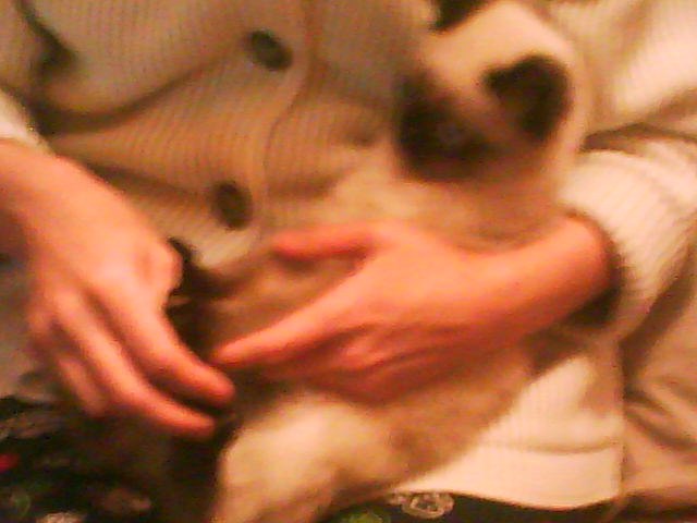 Мария Ткачёва | Казань