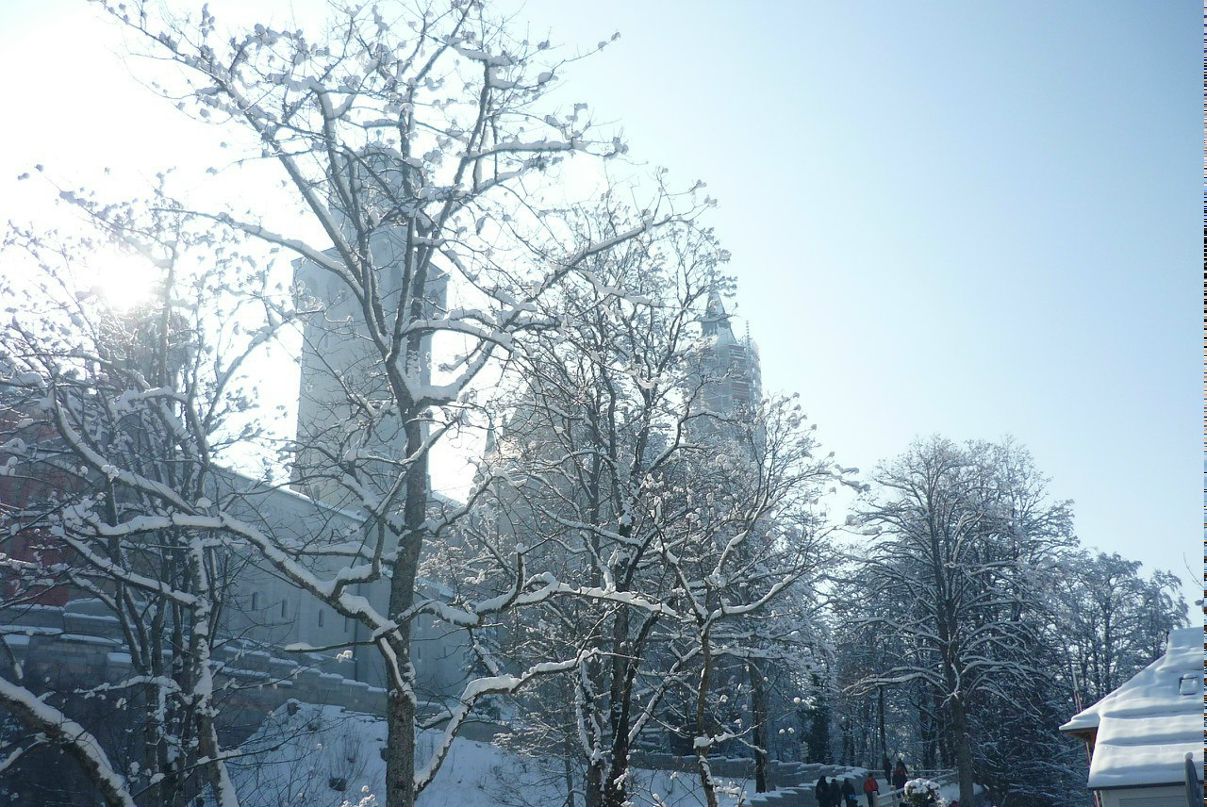 Марина Кругленёва | Новосибирск