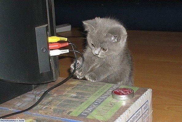 №51, Наталья Закамскова, Новокузнецк №51, Наталья Закамскова, Новокузнецк