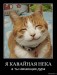 Lilume Niko фотография #14