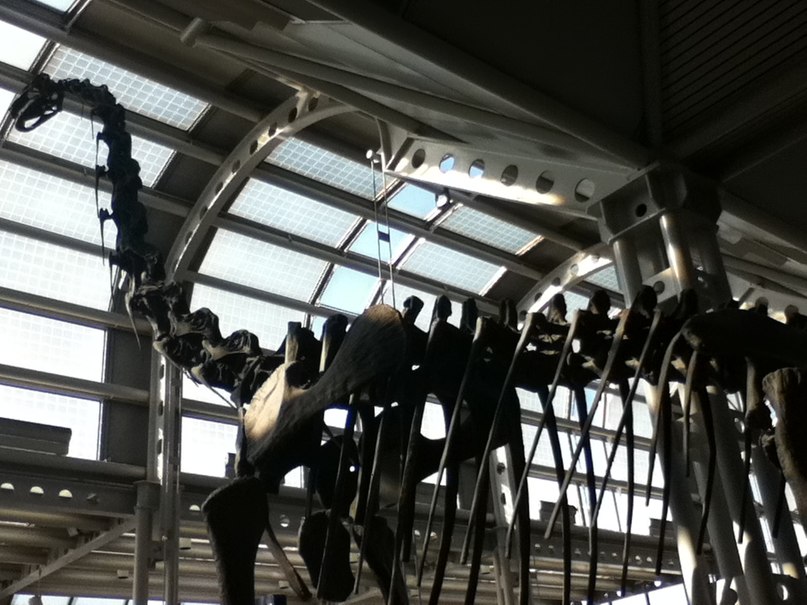 Николай Стрельченко | Одесса