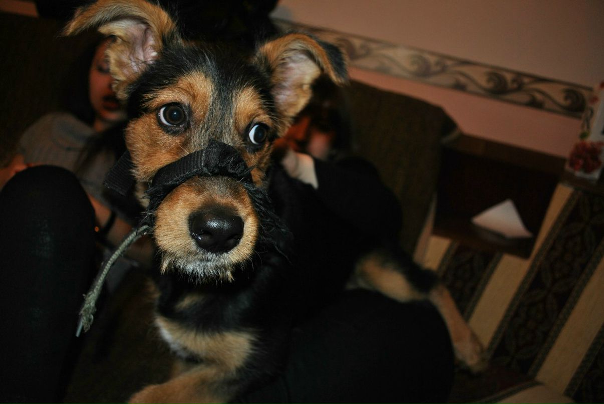 Виталия Кононова | Видное