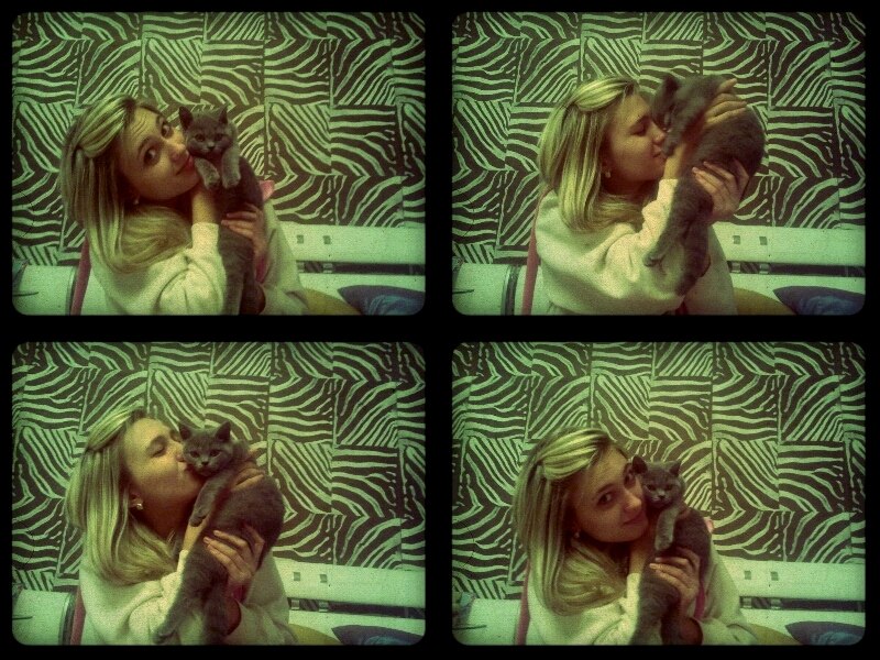 Вика Шива | Toronto