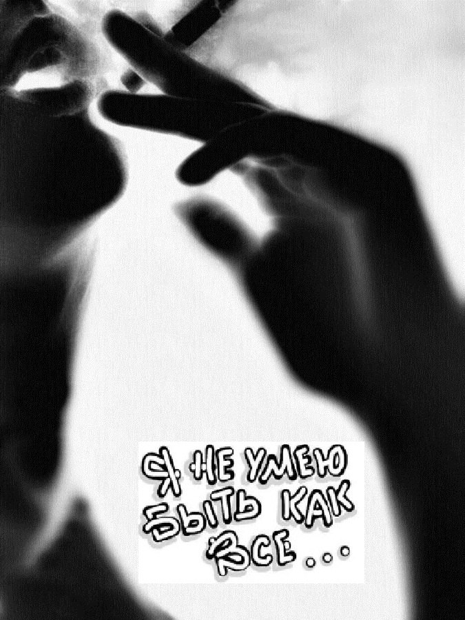 Саша Лавров 龍 | 