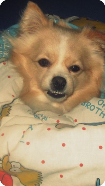 №36, Софія Лушпак, 30 лет, Ходоров №36, Софія Лушпак, 30 лет, Ходоров